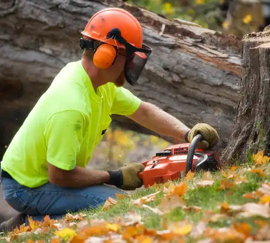 tree services Turners Falls